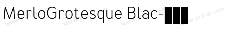 MerloGrotesque Blac字体转换